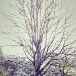 PIB du Bénin : +6,8% au deuxième trimestre, dépassant les attentes