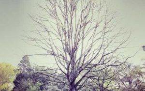 PIB du Bénin : +6,8% au deuxième trimestre, dépassant les attentes