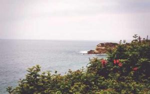 PIB du Bénin : +6,8% au deuxième trimestre