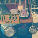 Projet de protection des mangroves : 10 000 hectares sauvegardés