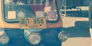 Projet de protection des mangroves : 10 000 hectares sauvegardés