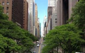 L&rsquo;avenir de la Zone Franc en Afrique : Quel rôle pour le Bénin leadership ?