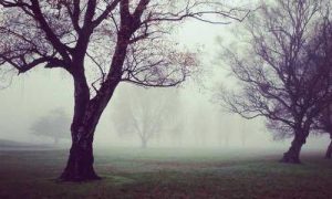 Formations Microsoft : Préparez-vous aux métiers du numérique