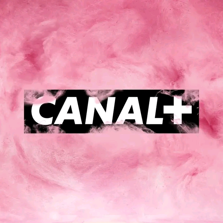 Télévision au Burkina : Canal+ sanctionné par le CSC pour entrave à l’accès aux chaînes publiques